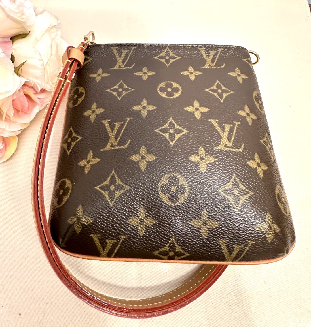 LOUIS VUITTON Partition M51901 MI0053 mit D-Ringen plus VVN-Riemen – Bild 4
