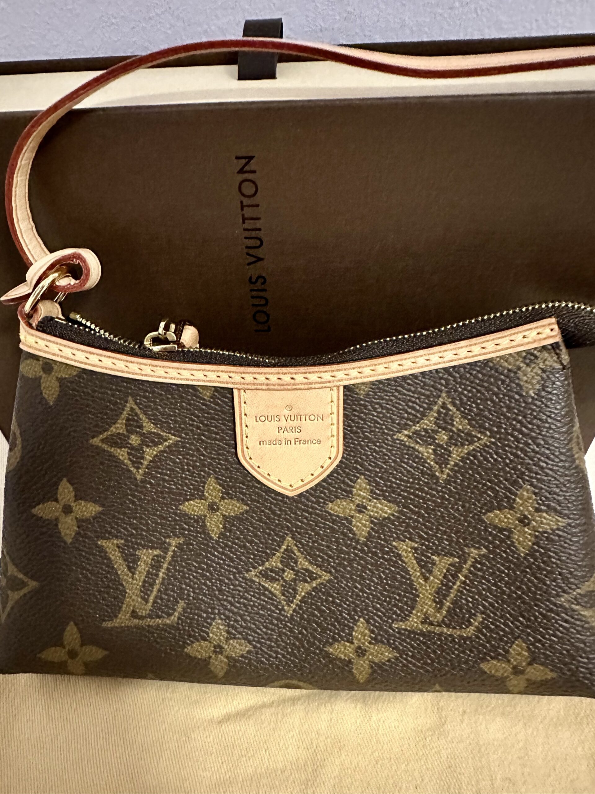 LOUIS VUITTON Mini Pochette Delightful M40309, Datacode SA1191